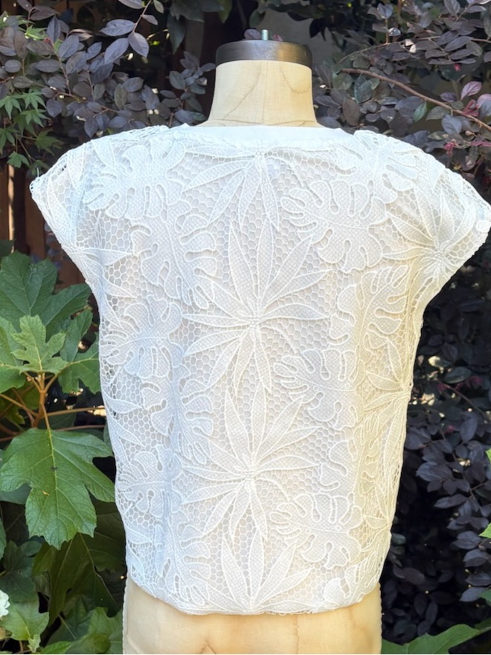 Corey Lynn Calter/Anthropologie "Tina Lace" blouse - size XS Petite - Picture 4 of 4